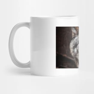 Wolf Mug